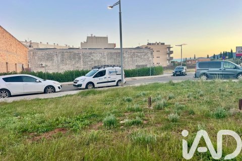 Terreno in vendita a Amposta, Tarragona, Spagna 855 mq. N° 152621 - foto 6