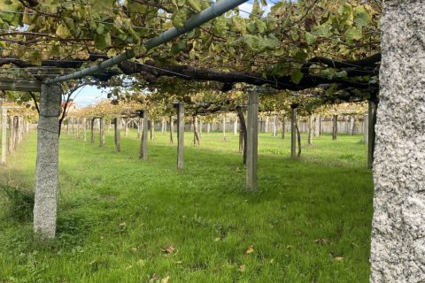 Сasa en venta en Ribadumia, Pontevedra, España 3 dormitorios, 325 m2 No. 152615 - foto 17