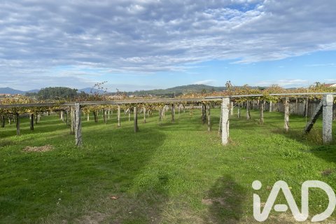 Сasa en venta en Ribadumia, Pontevedra, España 3 dormitorios, 325 m2 No. 152615 - foto 21