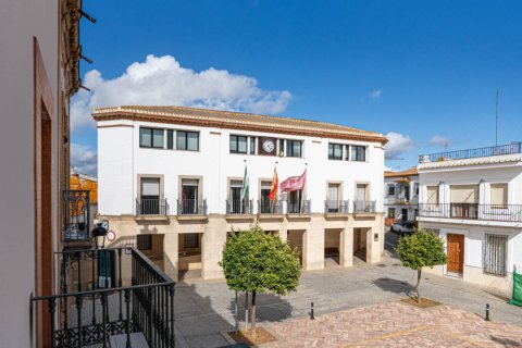 Hus till salu i Niebla, Huelva, Spanien 4 sovrum, 494 kvm. Nr. 173144 - foto 29
