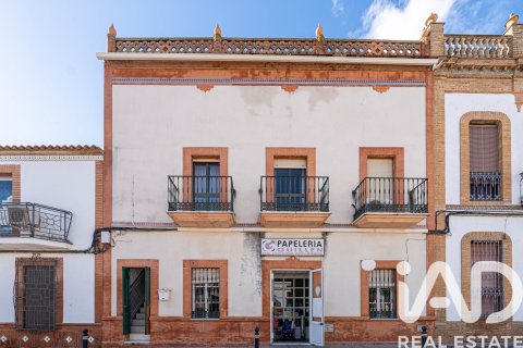 Hus till salu i Niebla, Huelva, Spanien 4 sovrum, 494 kvm. Nr. 173144 - foto 28