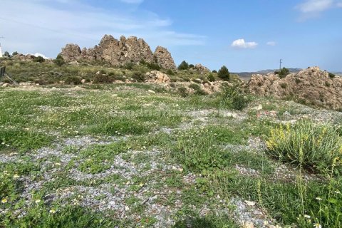 House for sale in Albox, Almeria, Spain 3 bedrooms, 270 sq.m. No. 184051 - photo 8