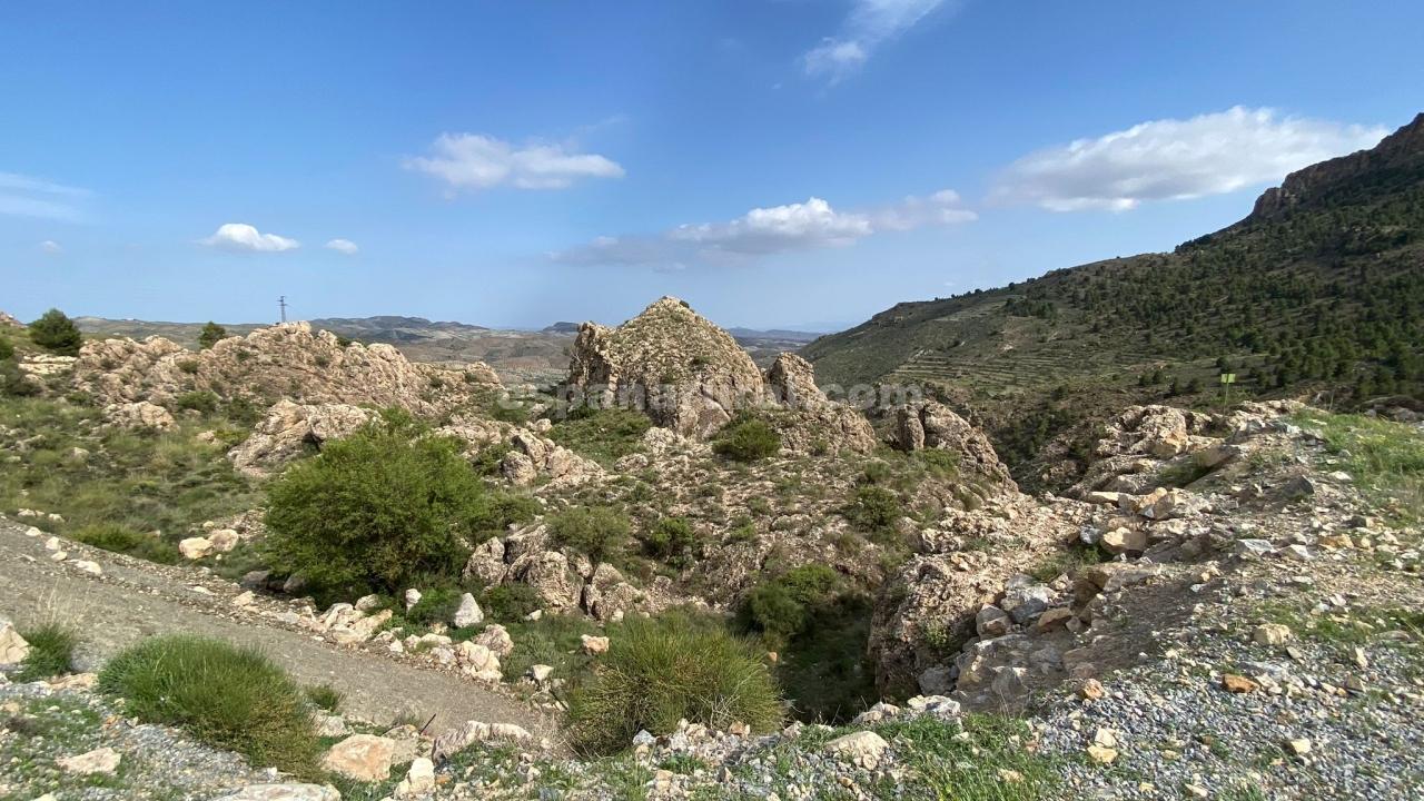 Hus i Albox, Almeria, Spanien 3 sovrum, 270 kvm. Nr. 184051
