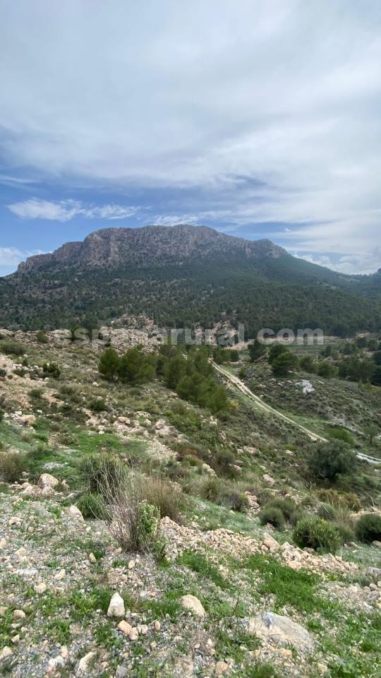 Hus i Albox, Almeria, Spanien 3 sovrum, 270 kvm. Nr. 184051