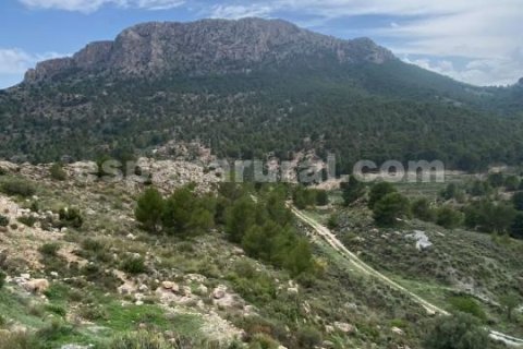 House for sale in Albox, Almeria, Spain 3 bedrooms, 270 sq.m. No. 184051 - photo 11