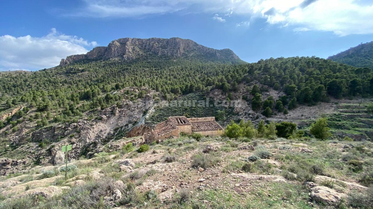 Hus i Albox, Almeria, Spanien 3 sovrum, 270 kvm. Nr. 184051