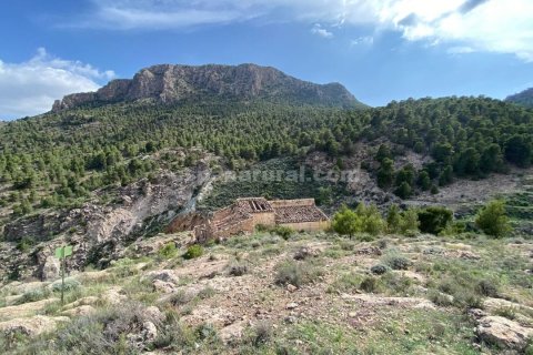 House for sale in Albox, Almeria, Spain 3 bedrooms, 270 sq.m. No. 184051 - photo 9