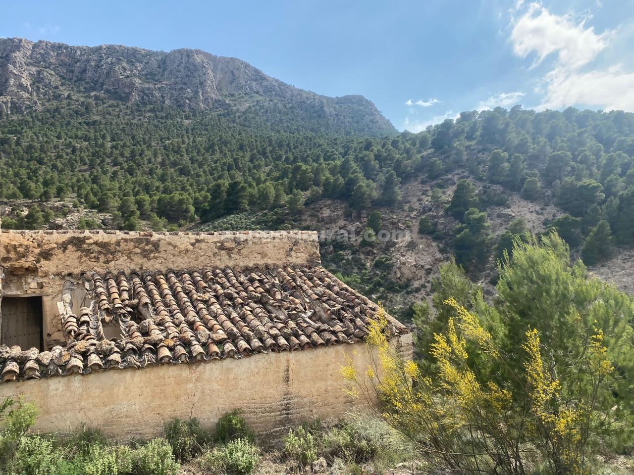 Hus i Albox, Almeria, Spanien 3 sovrum, 270 kvm. Nr. 184051
