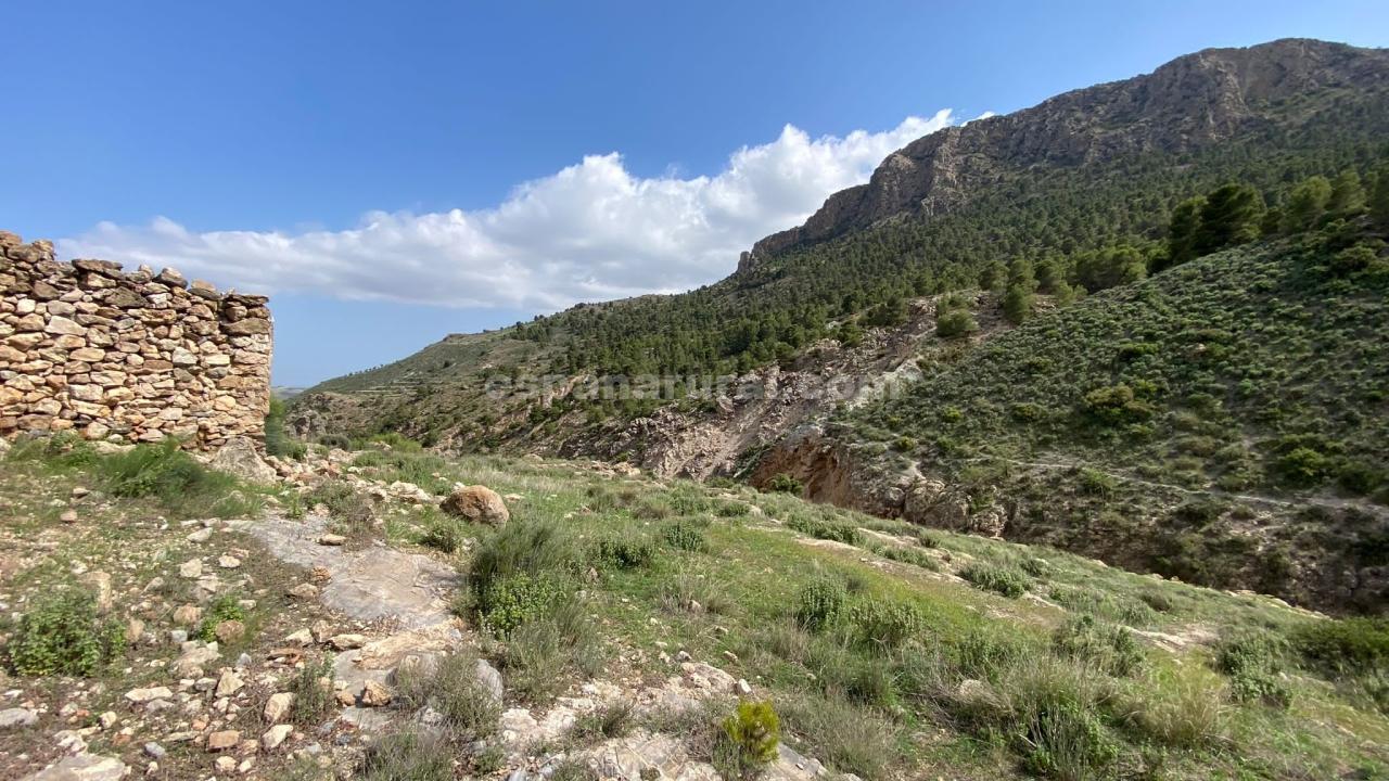 Hus i Albox, Almeria, Spanien 3 sovrum, 270 kvm. Nr. 184051