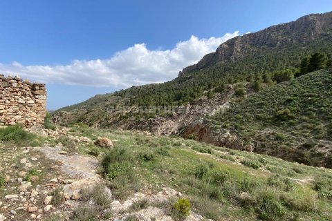 House for sale in Albox, Almeria, Spain 3 bedrooms, 270 sq.m. No. 184051 - photo 6