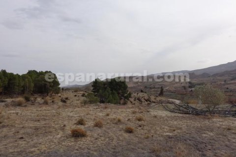 House for sale in Tijola, Almeria, Spain 2 bedrooms, 75 sq.m. No. 184050 - photo 12