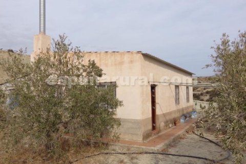 Дом в Тихола, Альмерия, Испания 2 спальни, 75м2 №184050