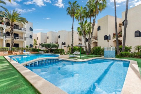 Apartment à Cabo Cervera-Playa la Mata, Alicante, Espagne 1 chambre, 60 m2 No. 156108