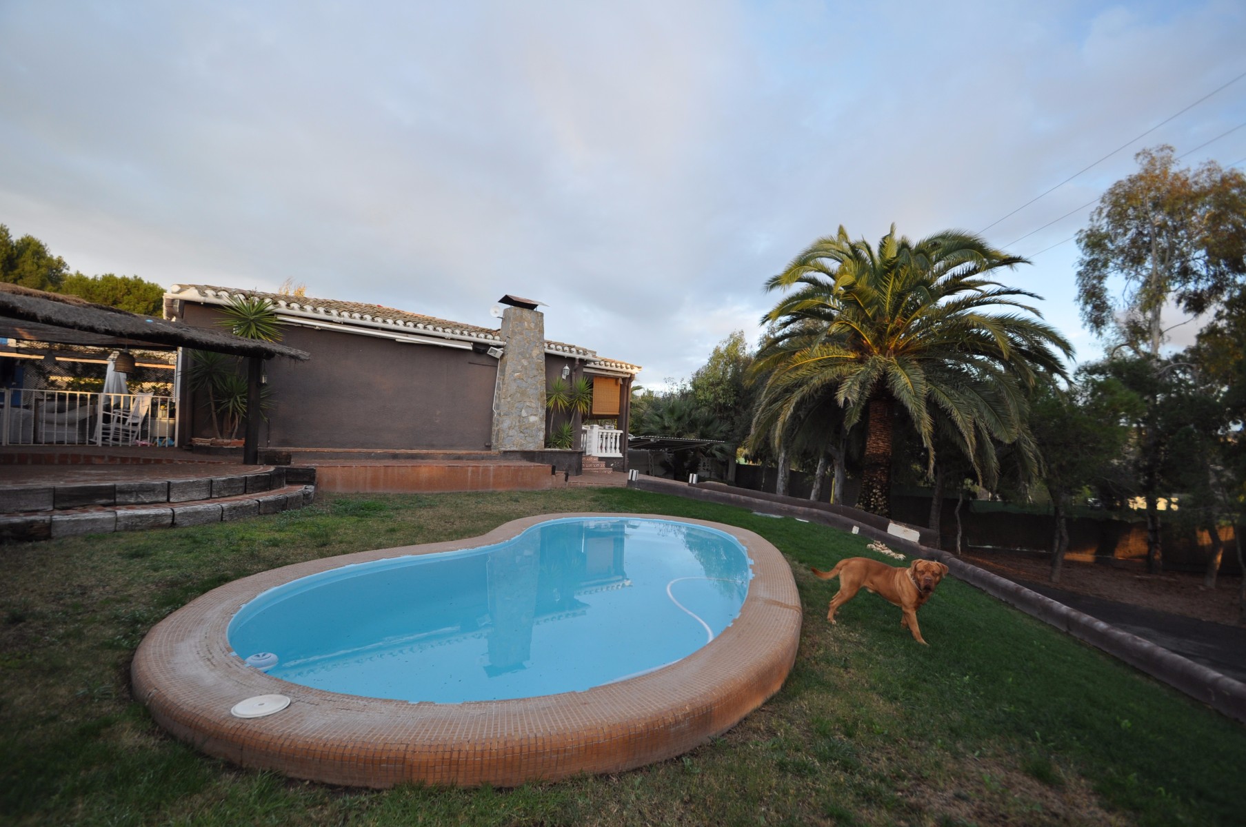 Villa in Monovar, Alicante, Spanien 3 Schlafzimmer, 140 m2 Nr. 116394