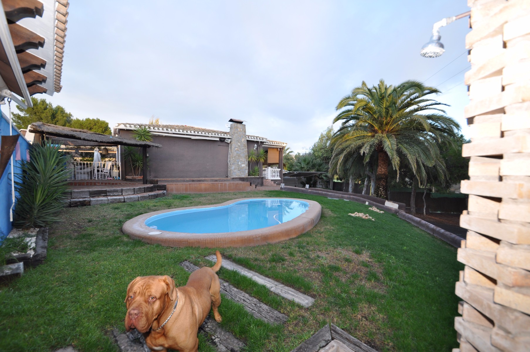 Villa in Monovar, Alicante, Spanien 3 Schlafzimmer, 140 m2 Nr. 116394
