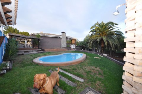 Villa à vendre Monovar, Alicante, Espagne, 3 chambres, 140 m2 No. 116394 - photo 3