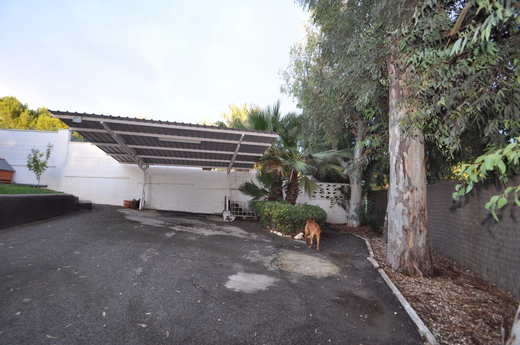 Villa in Monovar, Alicante, Spanien 3 Schlafzimmer, 140 m2 Nr. 116394