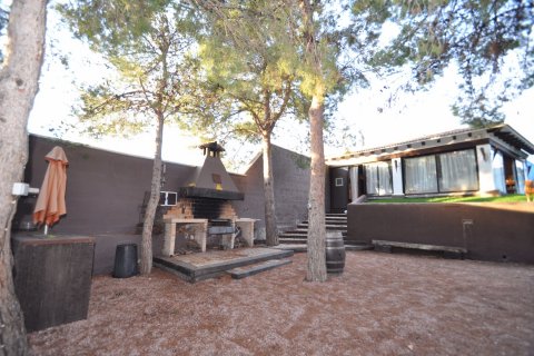 Villa à vendre Monovar, Alicante, Espagne, 3 chambres, 140 m2 No. 116394 - photo 12