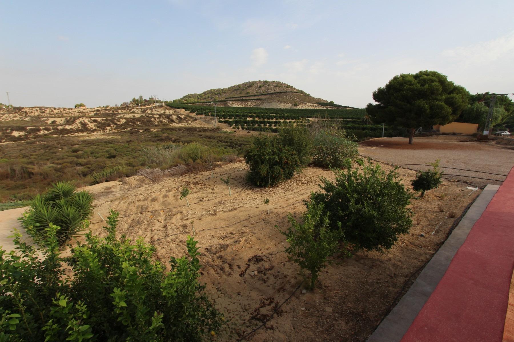 Villa à San Miguel de Salinas, Alicante, Espagne 4 chambres,  No. 80190