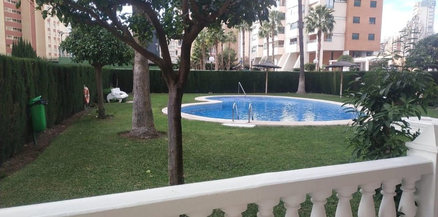 Dzīvoklis Benidorm, Alicante, Spānijā 2 istabas, 60 m2 Nr. 165504