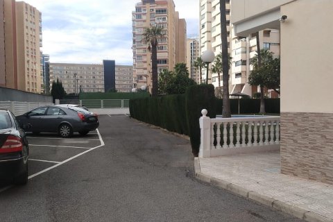 Продажа квартиры в Бенидорм, Аликанте, Испания 1 спальня, 54м2 №165504 - фото 12