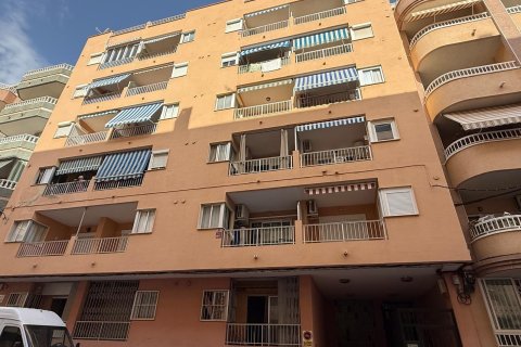 Apartament w Torrevieja, Alicante, Hiszpania 1 sypialnia, 79 mkw. nr 194188 – zdjęcie 26