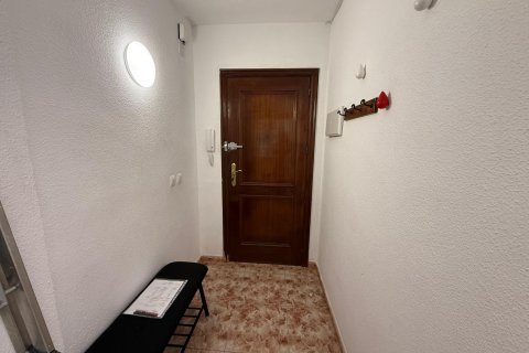 Apartament w Torrevieja, Alicante, Hiszpania 1 sypialnia, 79 mkw. nr 194188 – zdjęcie 22