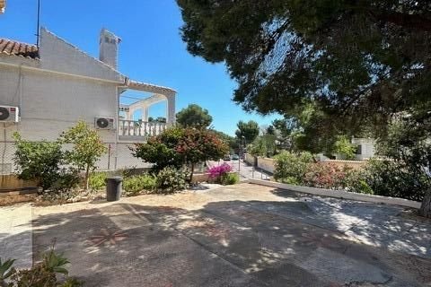 Dzīvoklis pārdošanā Los Balcones, Alicante, Spānijā 3 istabas, 500 m2 Nr. 194187 - attēls 10