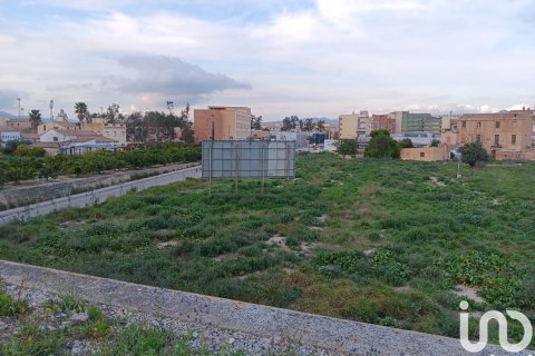 Terreno in vendita a Tortosa, Tarragona, Spagna 4205 mq. N° 153633 - foto 6