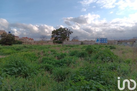 Terreno in vendita a Tortosa, Tarragona, Spagna 4205 mq. N° 153633 - foto 8