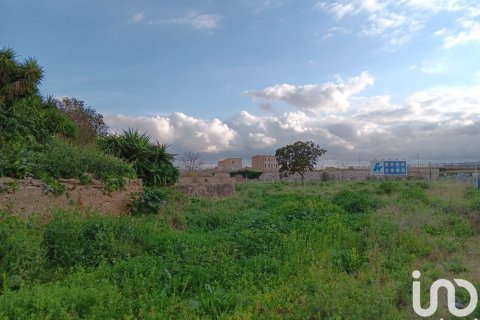 Terreno in vendita a Tortosa, Tarragona, Spagna 4205 mq. N° 153633 - foto 14