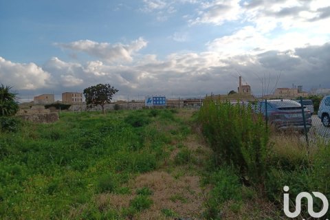 Terreno in vendita a Tortosa, Tarragona, Spagna 4205 mq. N° 153633 - foto 11