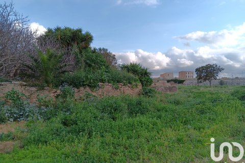 Terreno in vendita a Tortosa, Tarragona, Spagna 4205 mq. N° 153633 - foto 15