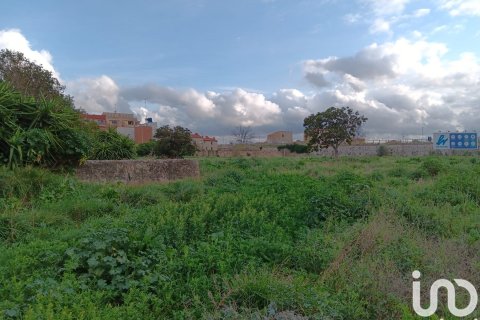Terreno in vendita a Tortosa, Tarragona, Spagna 4205 mq. N° 153633 - foto 9
