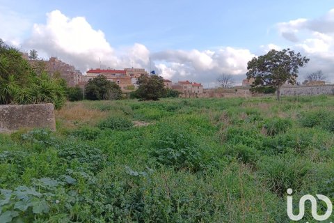 Terreno in vendita a Tortosa, Tarragona, Spagna 4205 mq. N° 153633 - foto 13