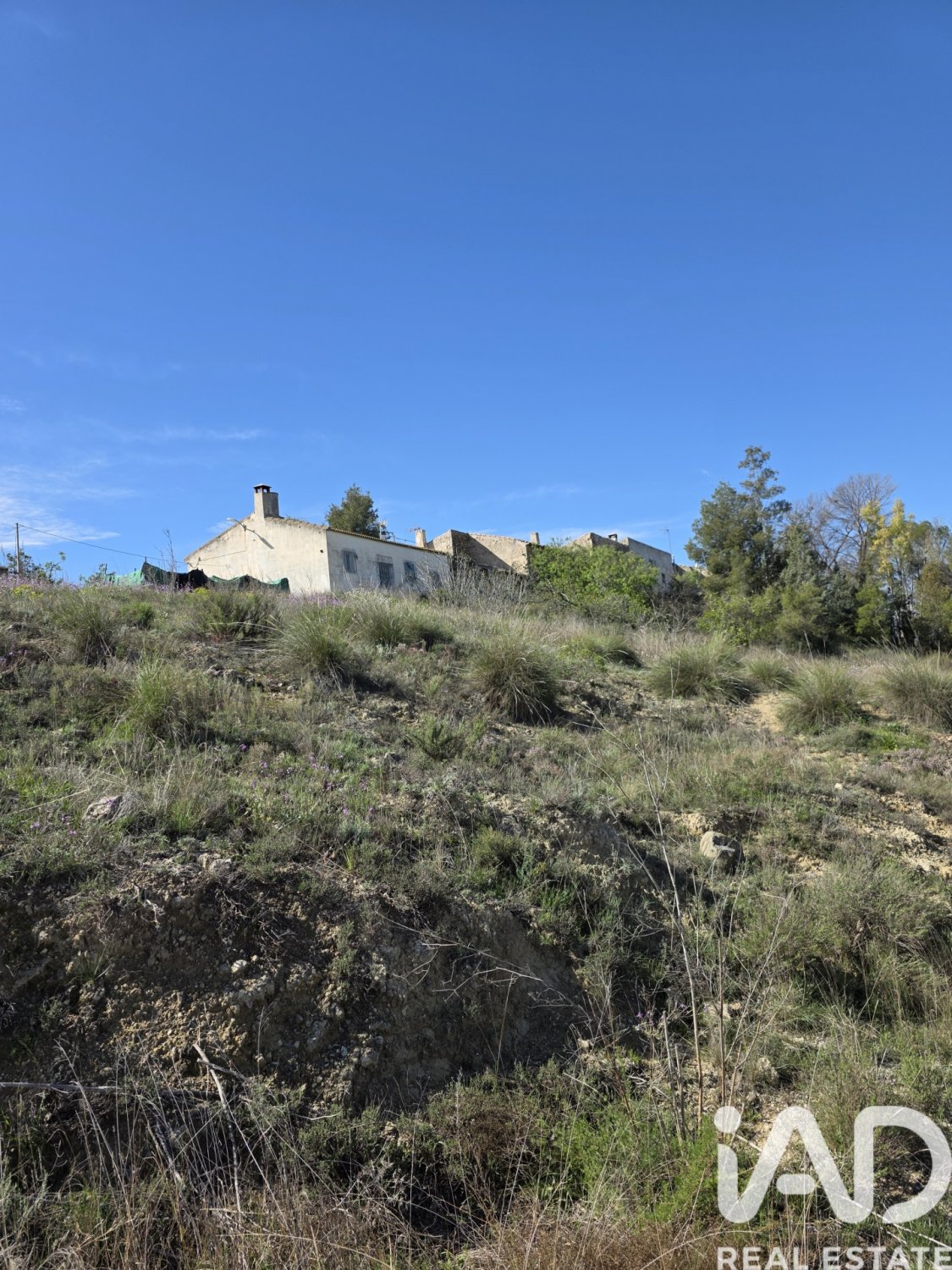 Terreno a Calasparra, Murcia, Spagna 1564 mq. N° 185059