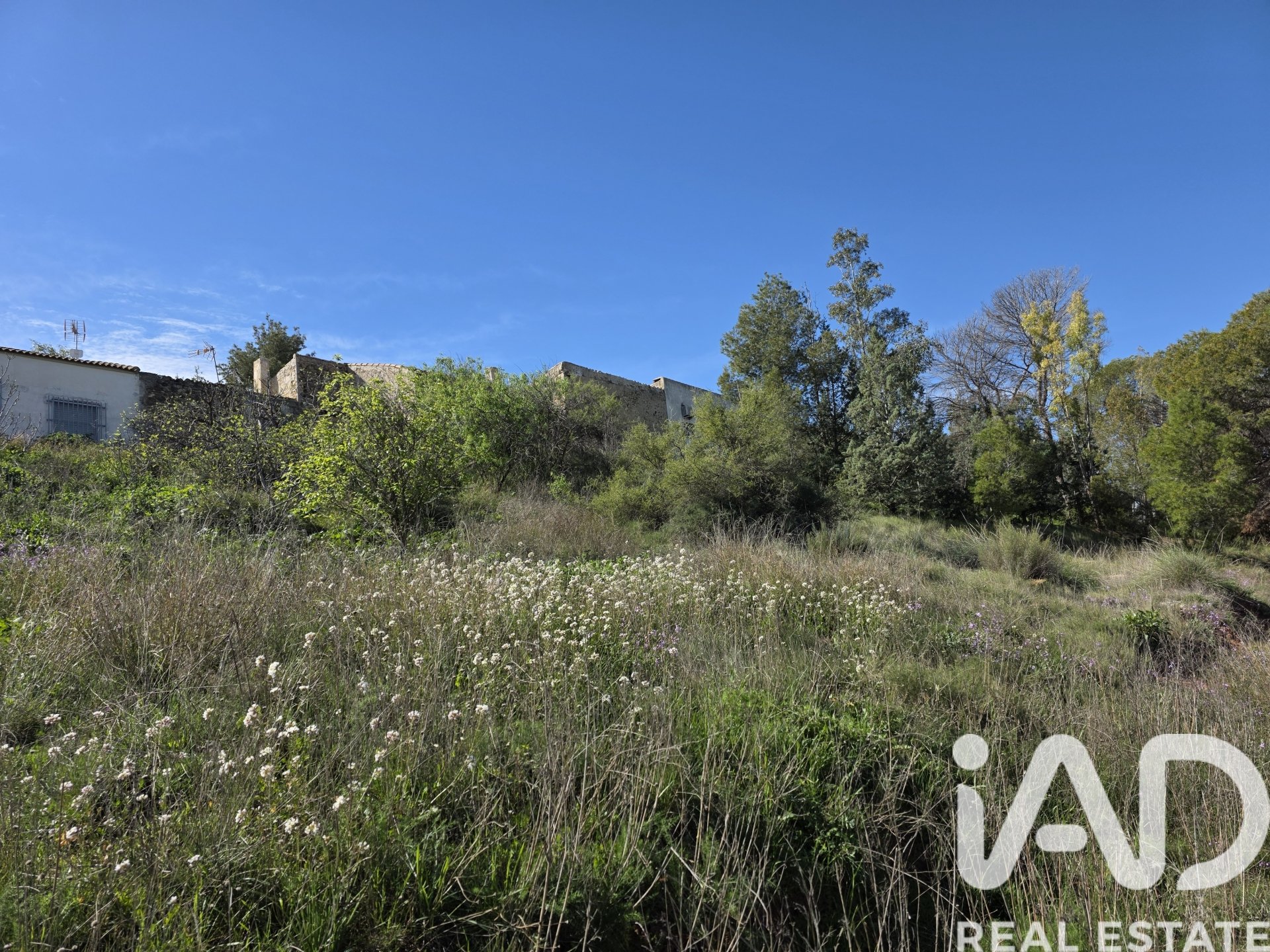 Terreno a Calasparra, Murcia, Spagna 1564 mq. N° 185059