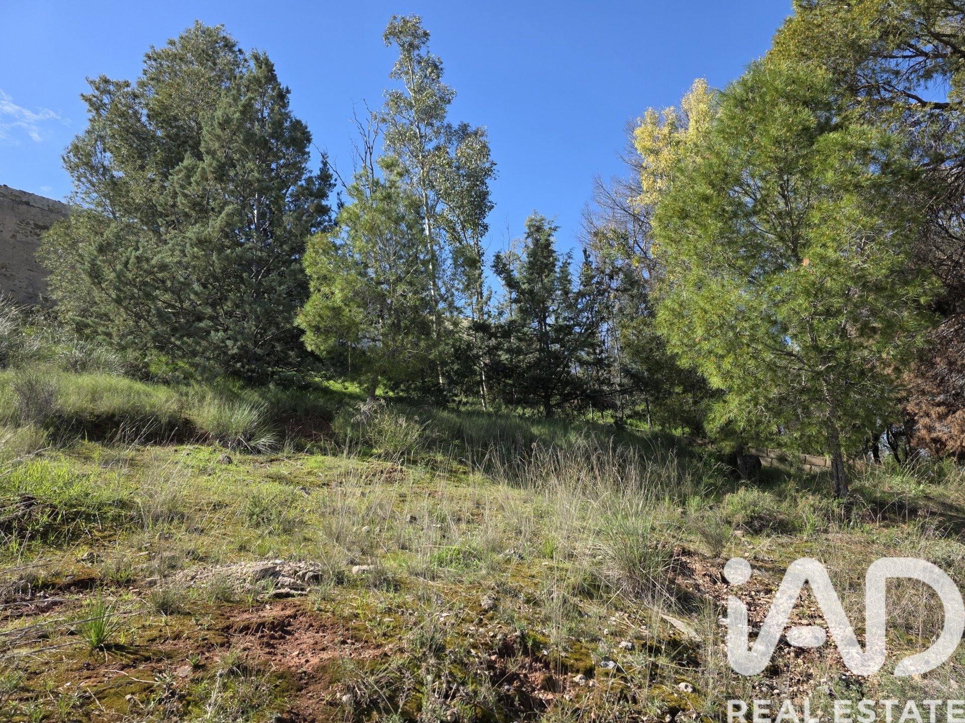 Terreno a Calasparra, Murcia, Spagna 1564 mq. N° 185059
