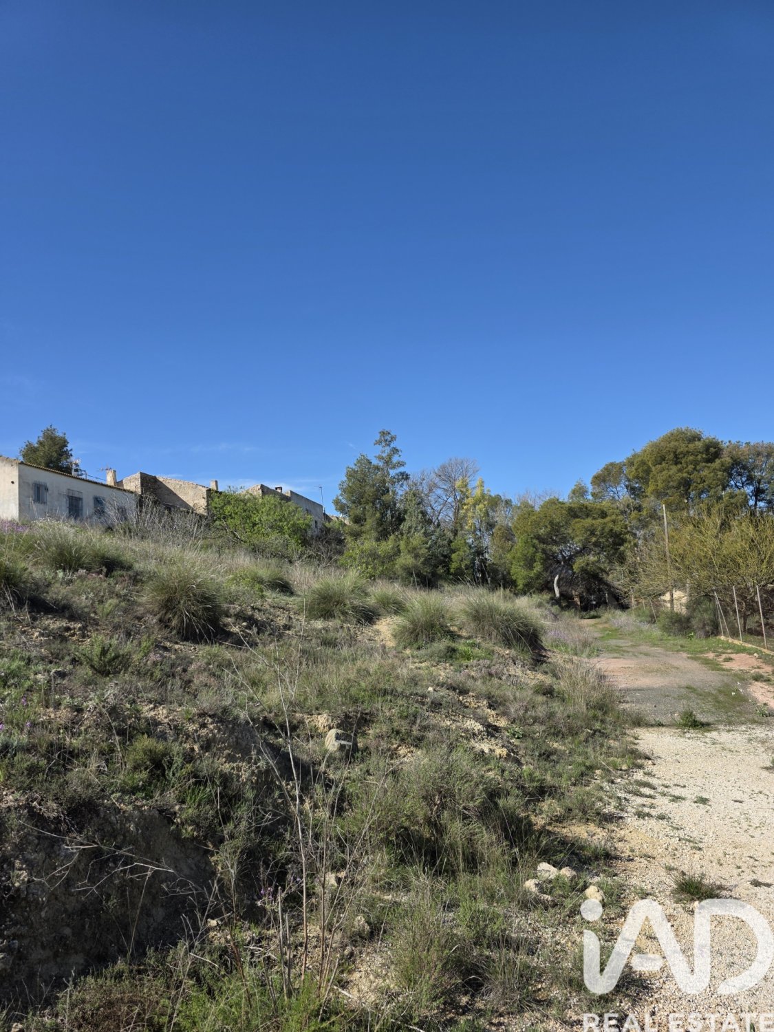 Terreno a Calasparra, Murcia, Spagna 1564 mq. N° 185059