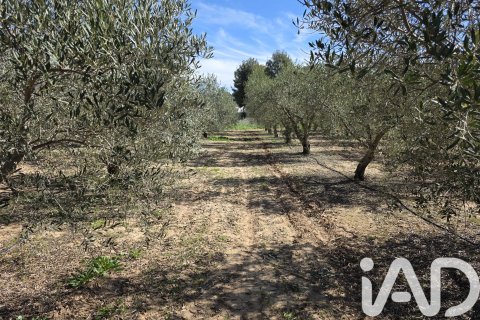 Tomt till salu i Calasparra, Murcia, Spanien 8400 kvm. Nr. 185060 - foto 5