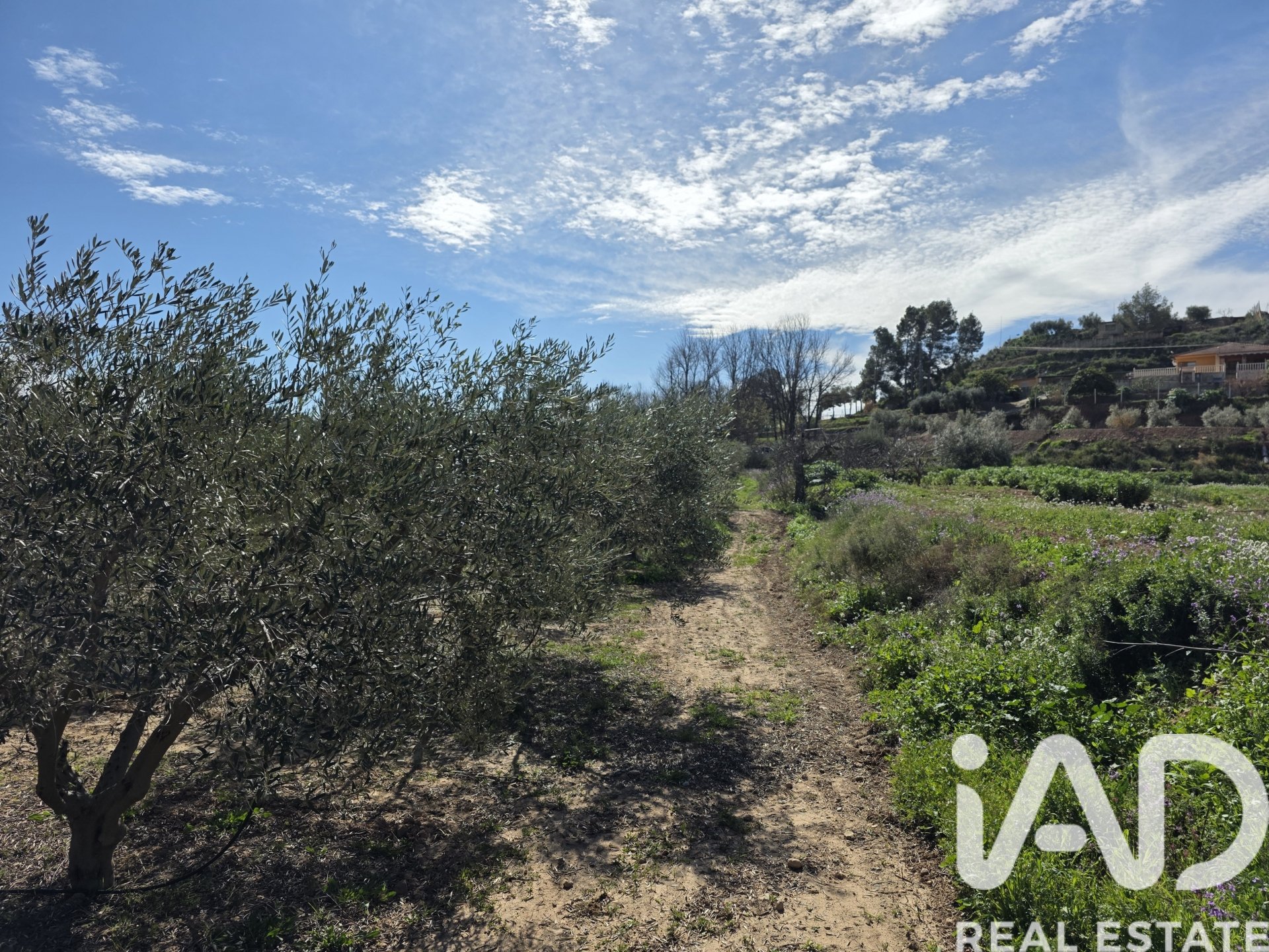Land plot à Calasparra, Murcia, Espagne 8400 m2 No. 185060