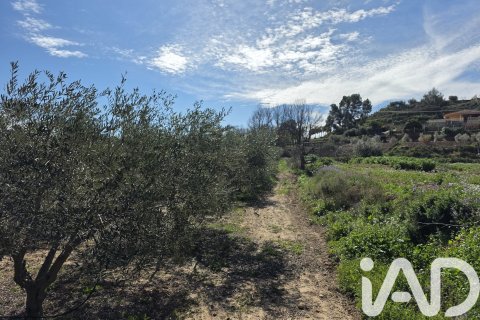 Tomt till salu i Calasparra, Murcia, Spanien 8400 kvm. Nr. 185060 - foto 4