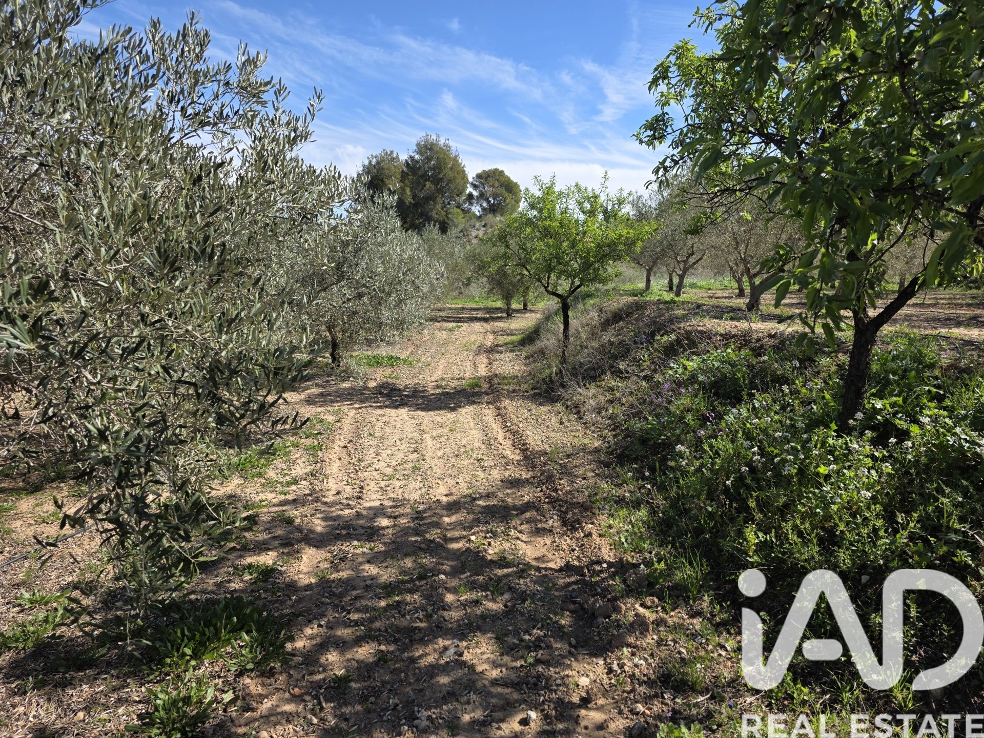 Land plot à Calasparra, Murcia, Espagne 8400 m2 No. 185060
