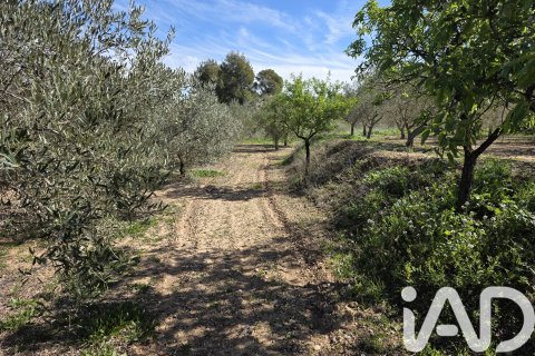 Tomt till salu i Calasparra, Murcia, Spanien 8400 kvm. Nr. 185060 - foto 6