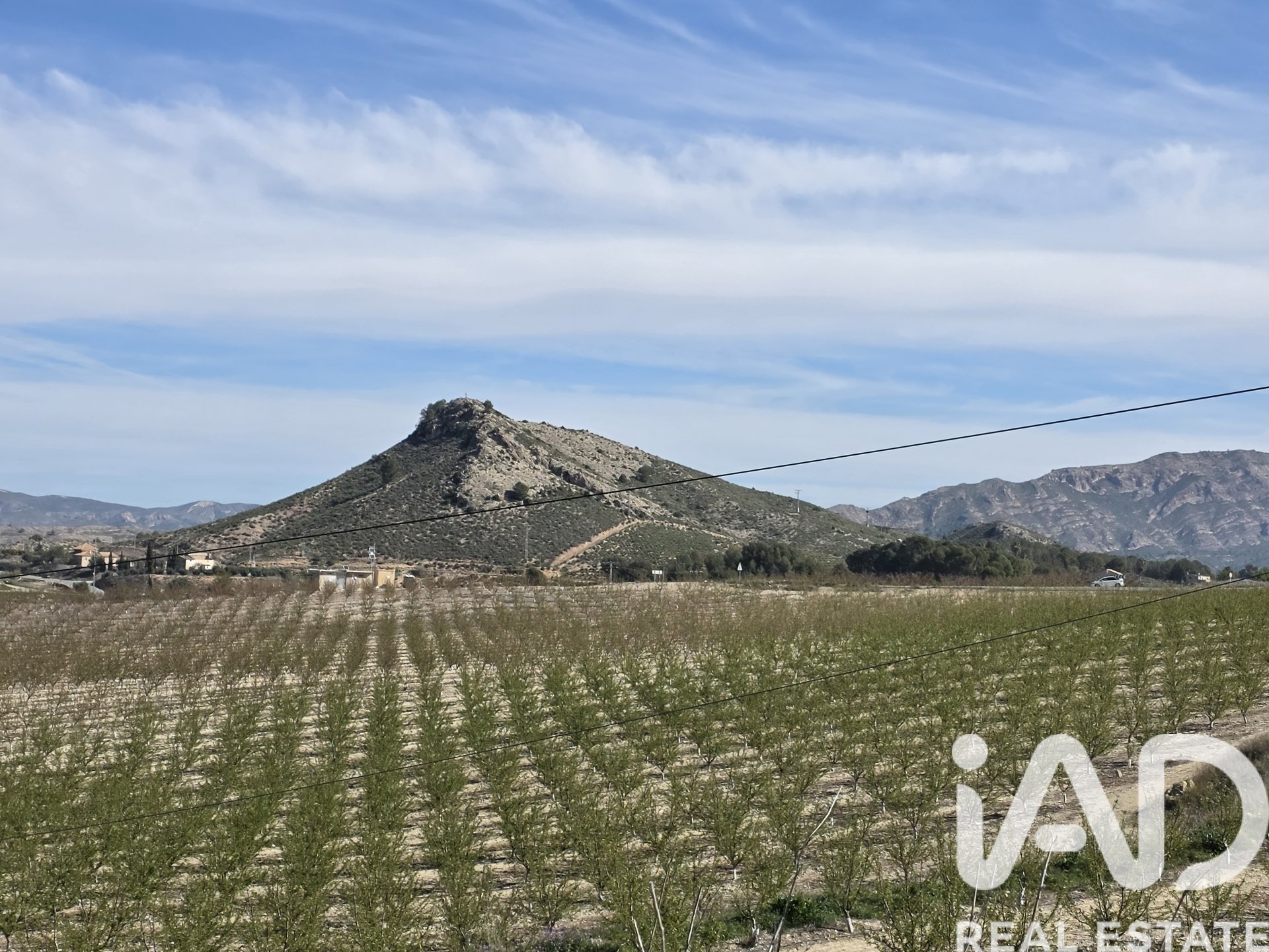 Land plot à Calasparra, Murcia, Espagne 8400 m2 No. 185060