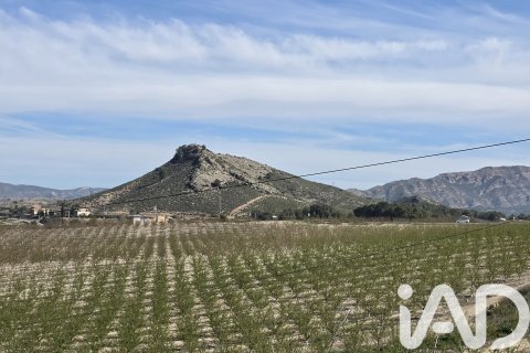 Tomt till salu i Calasparra, Murcia, Spanien 8400 kvm. Nr. 185060 - foto 2