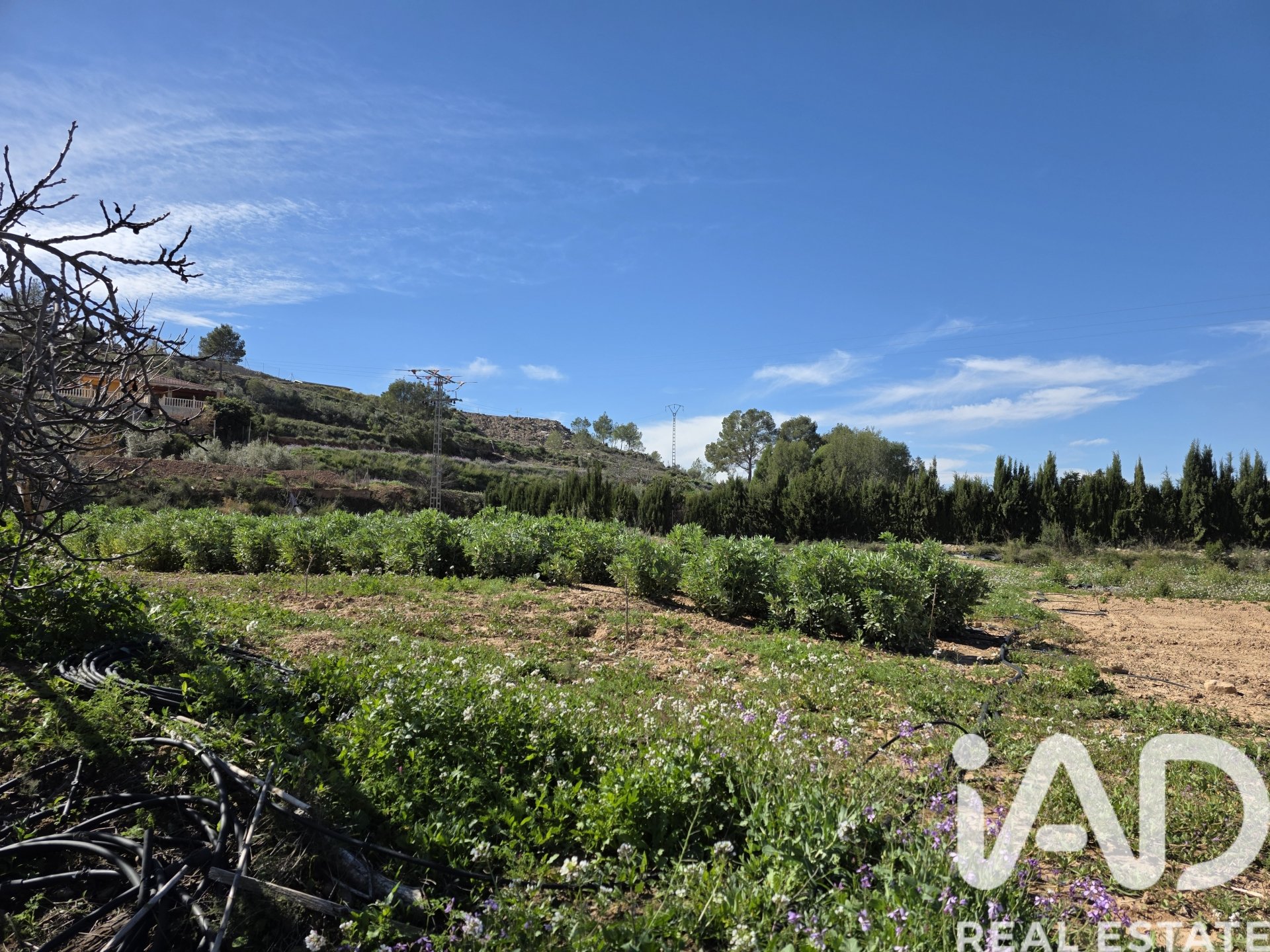 Land plot à Calasparra, Murcia, Espagne 8400 m2 No. 185060