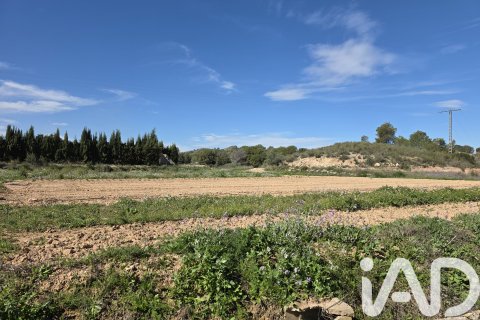 Działka w Calasparra, Murcia, Hiszpania 8400 mkw. nr 185060