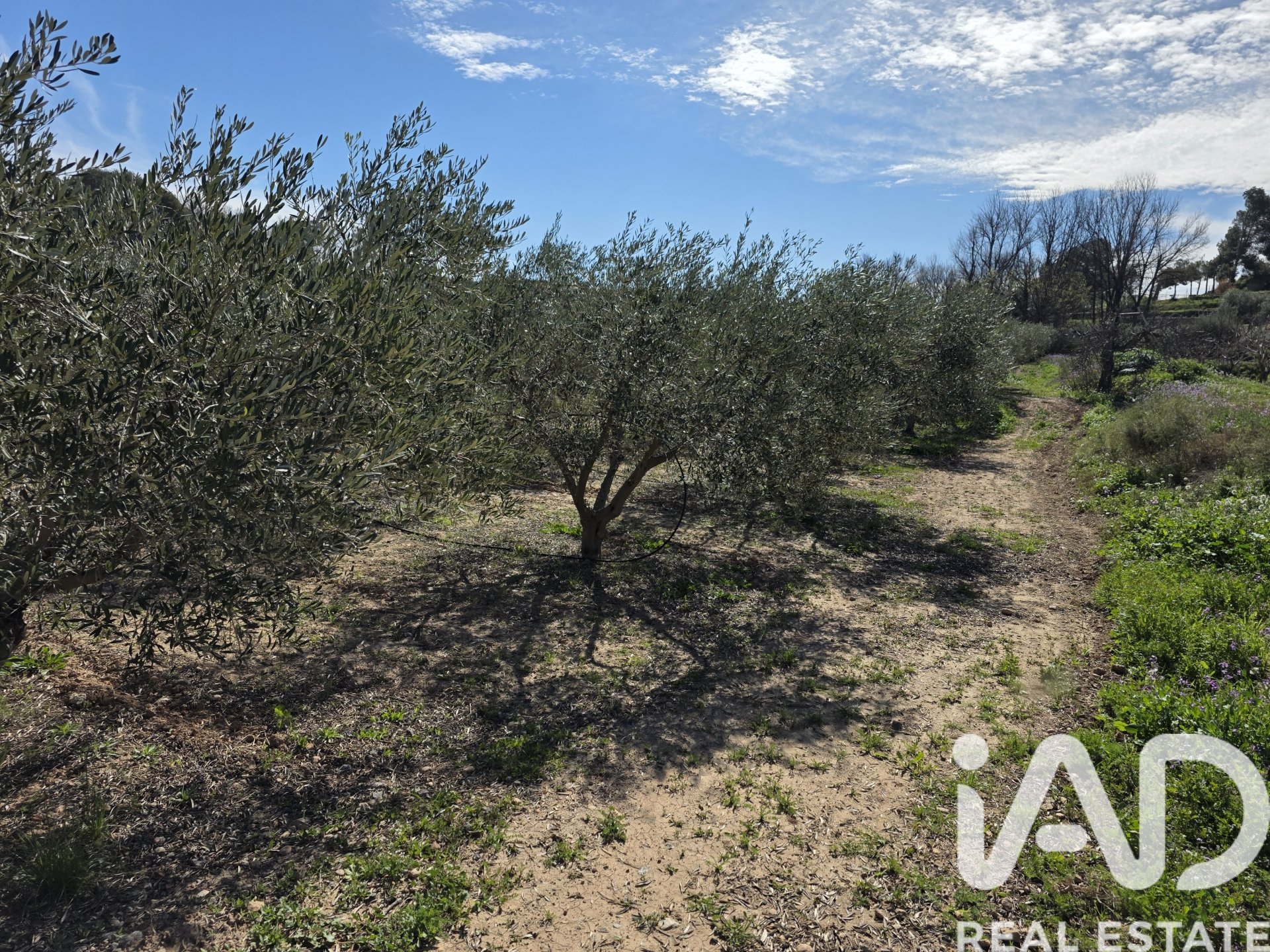 Land plot à Calasparra, Murcia, Espagne 8400 m2 No. 185060
