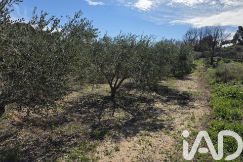 Tomt till salu i Calasparra, Murcia, Spanien 8400 kvm. Nr. 185060 - foto 3